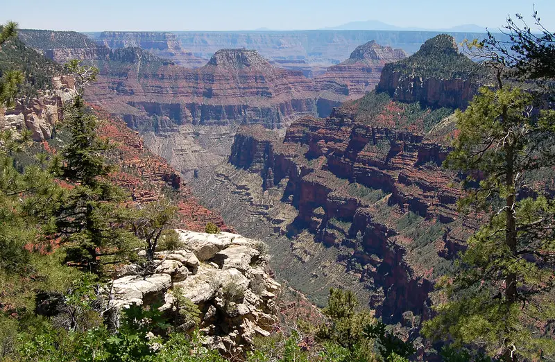 grand-canyon-view-from-widforss-trail